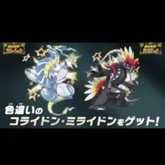 色違い　ミライドン　コライドン