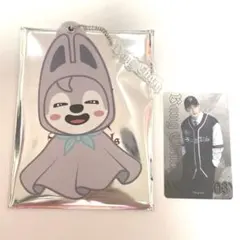 Stray Kids dominATE ミニうちわ フォトカ ウルフチャン