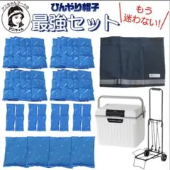 【新品未使用】 抗がん剤　冷却グローブとソックスのセット 抗がん剤治療 手足冷却セット フローズングローブ フローズンソックス