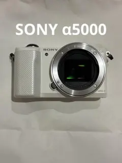 2026年最新】sony a5000の人気アイテム - メルカリ