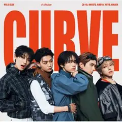 【るなな様】WILD BLUE CURVE 通常盤 新品未開封