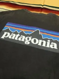 patagonia ロゴT オーガニックコットン サンフェード 墨黒