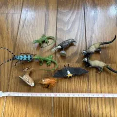 爬虫類リアル トカゲ＆ワニ 4体セット レアあり！ - メルカリ