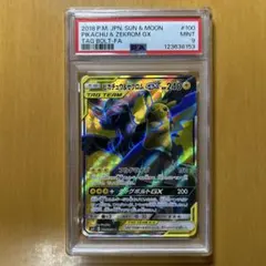 2025年最新】ピカチュウ&ゼクロム srの人気アイテム - メルカリ