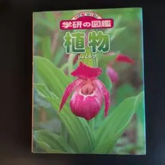 Item thumbnail for item 5c4516df-895f-46a8-8609-53c04d643158