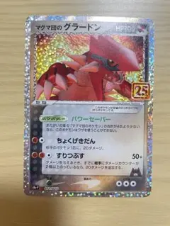 マグマ団のグラードン プロモカードパック 25th ANNIVERSARY e…