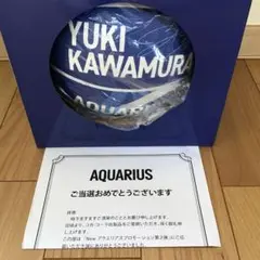 河村勇輝 フォトフレーム（デジタルサイン入り） 河村勇輝 フォトフレーム（デジタルサイン入り） 2025年最新