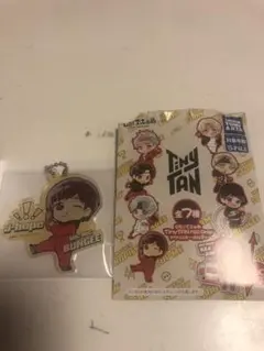タイニータン＆BT21アクリルキーホルダーセット
