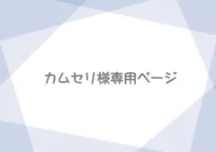 カムセリ様専用ページ みかさくん ステッカー