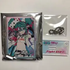 レーシングミク 2025 アクスタ アクリルスタンド 望月けい 初音ミク ④