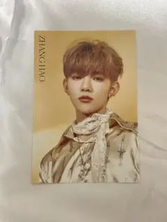 ジャンハオ ポストカード タワレコカフェ ゆらゆら