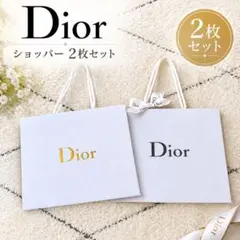DIOR ディオール ショッパー 2枚セット