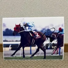 2026年最新】安藤勝己 サインの人気アイテム - メルカリ