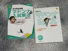 マドンナ古文 マドンナ入試解法 2冊セット