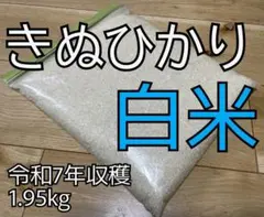 お米　白米　精米　きぬひかり　令和7年産のサムネイル