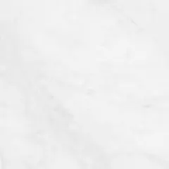 ハーレークイーンさん