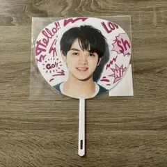 サマパラ ミニうちわ