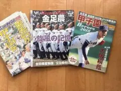 Item thumbnail for item 8ad70598-803e-436a-8f02-ef9b29dd8200