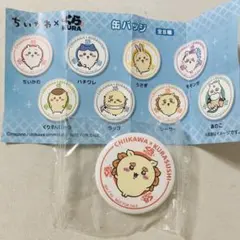 ちいかわ シーサー くら寿司 缶バッジ