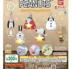 PEANUTS めじるしアクセサリー FUNNY ver.