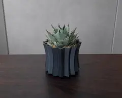 5号サイズ 3Dプリント鉢 3Dプリンター鉢 アガベ 作家鉢 - メルカリ