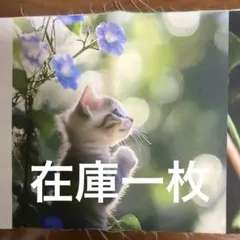子猫８パネル