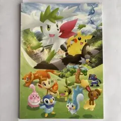 ポケモンセンター B5ノート、下敷きセット