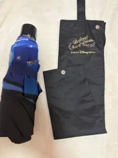 Item thumbnail for item 939210fe-d6b4-47b6-ac45-252c268ae2a2