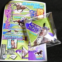 ファインモーション　ガラスマグネットのサムネイル