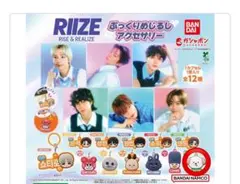 RIIZE ぷっくりめじるしアクセサリー アントン 멍룡이 モンリョンイ