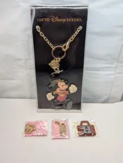 2026年最新】ミラコスタ キーチェーンの人気アイテム - メルカリ