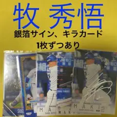 牧秀悟 5枚セット カード キラカード 銀箔サインカード