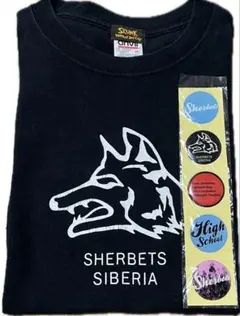 SHERBETS×The Birthday Tシャツ 浅井健一 チバユウスケ - メルカリ