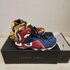 Nike LeBron 12 What THE LeBron 28.5cmのサムネイル
