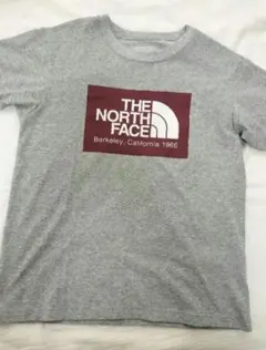 THE NORTH FACE グレー Tシャツ