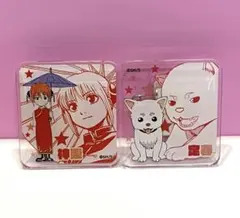 銀魂 大銀魂展 アクリルバッジ 神楽 定春