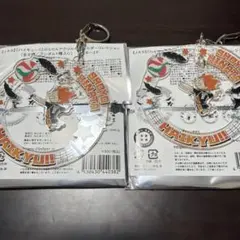 ハイキュー！！　ぶらりんアクリルキーホルダー 日向翔陽 2個セット