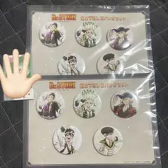 Dr.STONE ドクターストーン アイドル缶バッジ