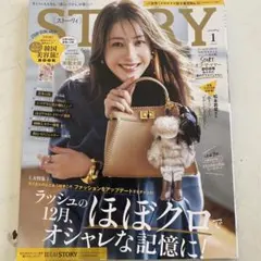 Item thumbnail for item 6b78a91d-bc0d-4aa1-ad89-26ab6efca1c2