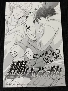 ⚫︎【まとめ売り】純情ロマンチカ トレーディングカード 64枚 2026年最新】純情ロマンチカ カードの人気アイテム - メルカリ