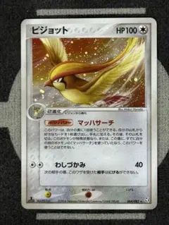 【10点2500円引き】ピジョット