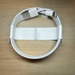 Apple純正 Lightningケーブル