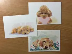 犬　はがき　3枚セット