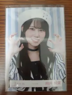 生写真　マリン衣装　向井純葉