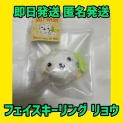 リョウ WISHDOLL ペンライト キーリング リョンリョン ぬいぐるみ