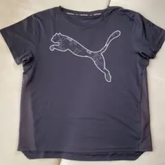美品‼️プーマドライTシャツのサムネイル