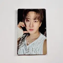 StrayKids DO IT FANS ラキドロ チャンビン