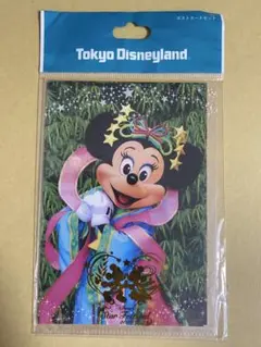 TDR 七夕 2010 ポストカード3枚セット&ミニファイル　ミッキーミニー