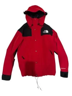 THE NORTH FACE GORE-TEX マウンテンパーカー