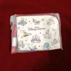 M**様 ★　JALオリジナル　東京ディズニーリゾート 　コインケース付きパスケ
